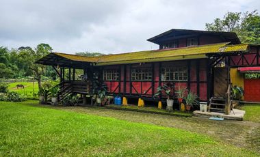 En Venta Finca de 138 hectáreas, Vía Los Bancos Valle hermoso km 14