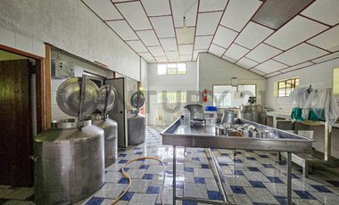 En Venta Finca de 138 hectáreas, Vía Los Bancos Valle hermoso km 14