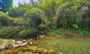 En Venta Finca de 138 hectáreas, Vía Los Bancos Valle hermoso km 14