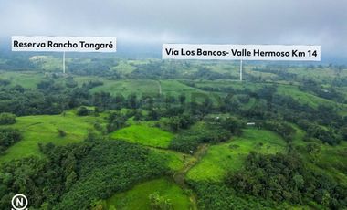 En Venta Finca de 138 hectáreas, Vía Los Bancos Valle hermoso km 14