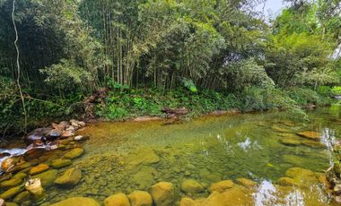 En Venta Finca de 138 hectáreas, Vía Los Bancos Valle hermoso km 14