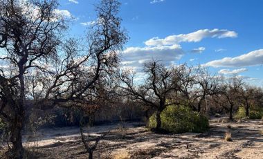 Venta Terreno Guaymallén, Mendoza 8400 m2