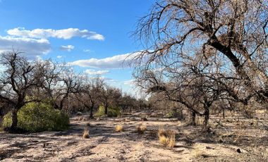Venta Terreno Guaymallén, Mendoza 8400 m2