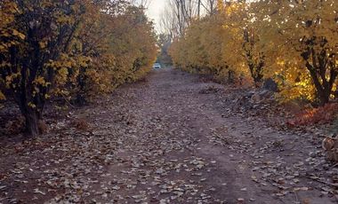 FINCA 20 HECTAREAS