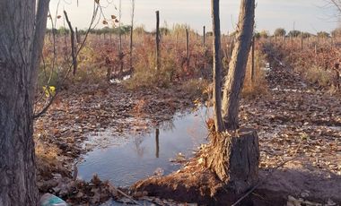 FINCA 20 HECTAREAS