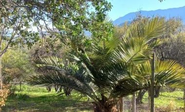 Hijuelas - Valparaíso - V Región/Oasis de la Campana - Las Palmas de Ocoa - Parcela - Venta