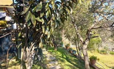 Hijuelas - Valparaíso - V Región/Oasis de la Campana - Las Palmas de Ocoa - Parcela - Venta