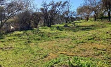 Hijuelas - Valparaíso - V Región/Oasis de la Campana - Las Palmas de Ocoa - Parcela - Venta