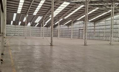 Cañaveral - Cerro San Luis/Panamericana Norte - Quilicura - Bodega - Arriendo