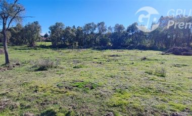 Parcela en Venta en Fundo El Cienago, Quillón