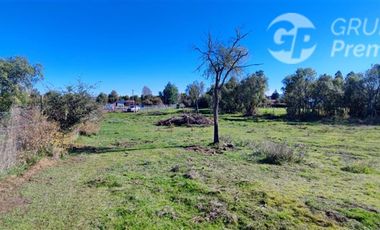 Parcela en Venta en Fundo El Cienago, Quillón