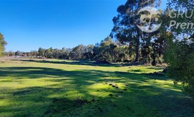 Parcela en Venta en Fundo El Cienago, Quillón