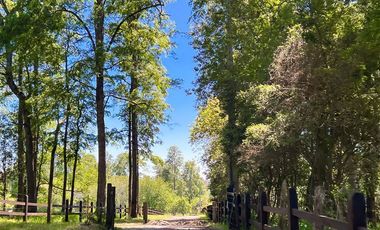 Departamento en Venta en Sector Lago Ranco (Con orilla a Rio Pichico)