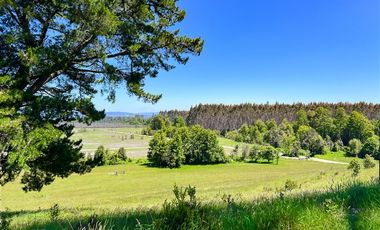 Departamento en Venta en Sector Lago Ranco (Con orilla a Rio Pichico)