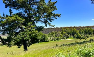 Departamento en Venta en Sector Lago Ranco (Con orilla a Rio Pichico)