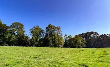 Departamento en Venta en Sector Lago Ranco (Con orilla a Rio Pichico)