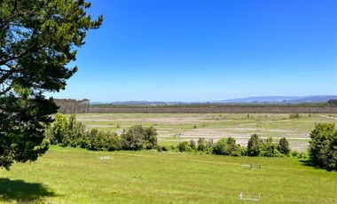 Departamento en Venta en Sector Lago Ranco (Con orilla a Rio Pichico)