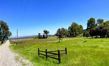Departamento en Venta en Sector Lago Ranco (Con orilla a Rio Pichico)