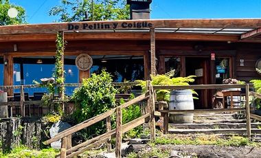 Departamento en Venta en Sector Lago Ranco (Con orilla a Rio Pichico)