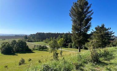 Casa en Venta en Sector Lago Ranco (Con orilla a Rio Pichico)