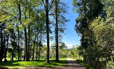 Casa en Venta en Sector Lago Ranco (Con orilla a Rio Pichico)