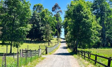 Casa en Venta en Sector Lago Ranco (Con orilla a Rio Pichico)