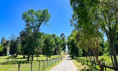Casa en Venta en Sector Lago Ranco (Con orilla a Rio Pichico)