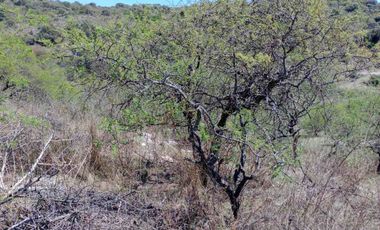 VENTA LOTE 3057 M2  CUESTA BLANCA PUNILLA CORDOBA