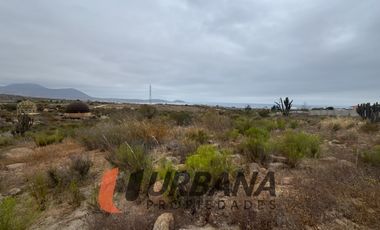 LOMAS DE GUANAQUEROS SITIO 5000M2 (53)