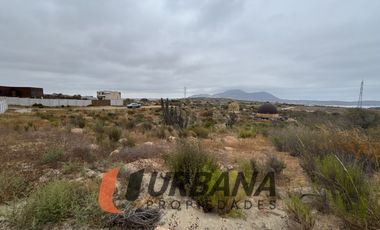 LOMAS DE GUANAQUEROS SITIO 5000M2 (53)