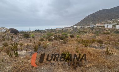 LOMAS DE GUANAQUEROS SITIO 5000M2 (53)