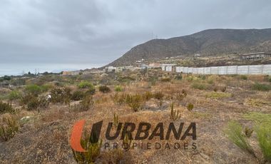 LOMAS DE GUANAQUEROS SITIO 5000M2 (53)