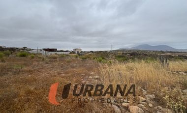 LOMAS DE GUANAQUEROS SITIO 5000M2 (53)