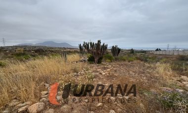 LOMAS DE GUANAQUEROS SITIO 5000M2 (53)