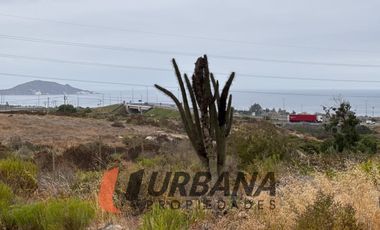 LOMAS DE GUANAQUEROS SITIO 5000M2 (53)
