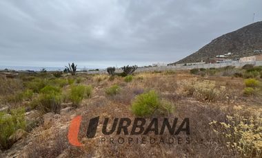 LOMAS DE GUANAQUEROS SITIO 5000M2 (53)