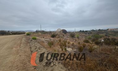 LOMAS DE GUANAQUEROS SITIO 5000M2 (53)