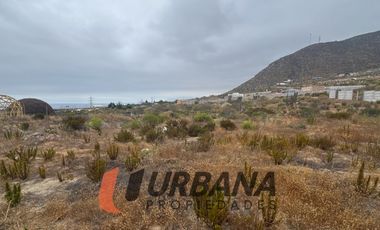 LOMAS DE GUANAQUEROS SITIO 5000M2 (53)