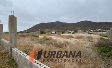 LOMAS DE GUANAQUEROS SITIO 5000M2 (105)