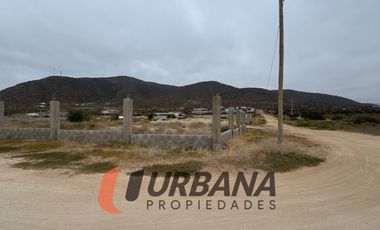 LOMAS DE GUANAQUEROS SITIO 5000M2 (105)