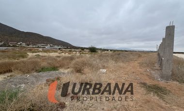 LOMAS DE GUANAQUEROS SITIO 5000M2 (105)