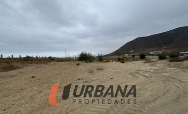 LOMAS DE GUANAQUEROS SITIO 5000M2 (105)