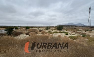 LOMAS DE GUANAQUEROS SITIO 5000M2 (105)