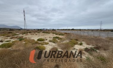 LOMAS DE GUANAQUEROS SITIO 5000M2 (105)