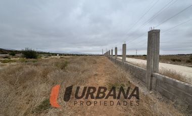 LOMAS DE GUANAQUEROS SITIO 5000M2 (105)