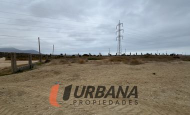 LOMAS DE GUANAQUEROS SITIO 5000M2 (105)