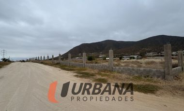 LOMAS DE GUANAQUEROS SITIO 5000M2 (105)