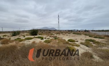 LOMAS DE GUANAQUEROS SITIO 5000M2 (105)
