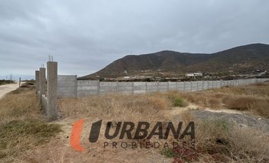 LOMAS DE GUANAQUEROS SITIO 5000M2 (105)