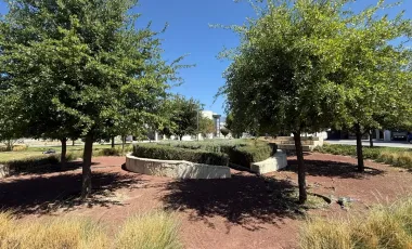 Casa en venta en Rincón de los Encinos, Saltillo, Coahuila de Zaragoza